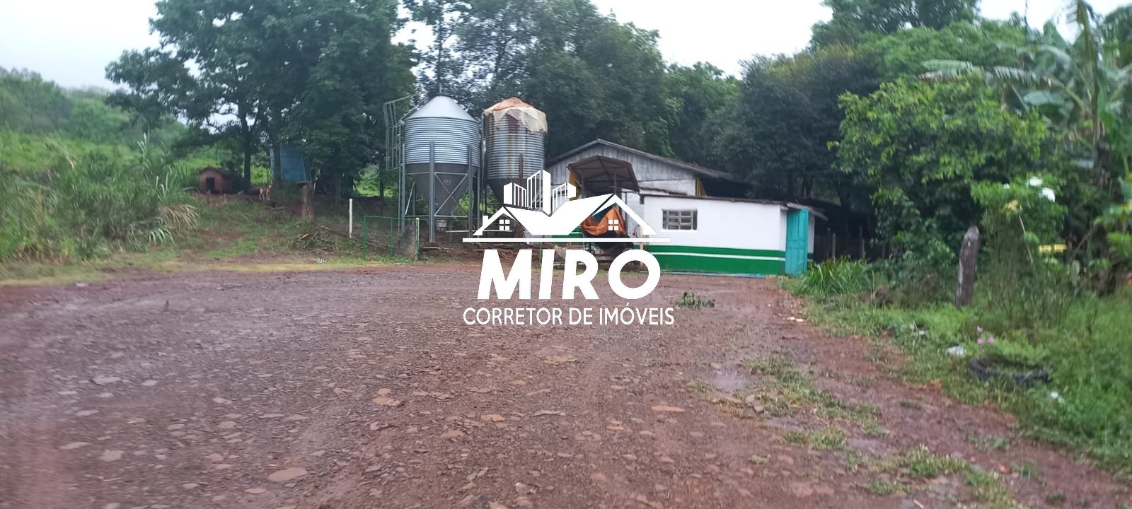 VENDE-SE CHÁCARA COM GRANJA DE SUÍNOS EM MISSAL-PR - Imagem 1